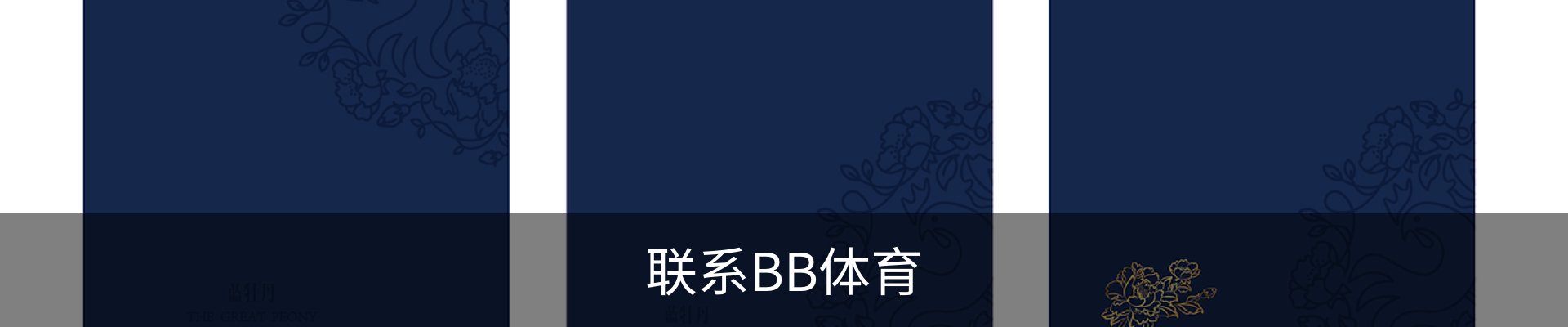 联系BB体育